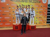 Елабужские спортсмены завоевали медали на Всероссийских соревнованиях по тхэквондо - Золотая искра